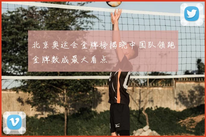 北京奥运会金牌榜揭晓中国队领跑金牌数成最大看点