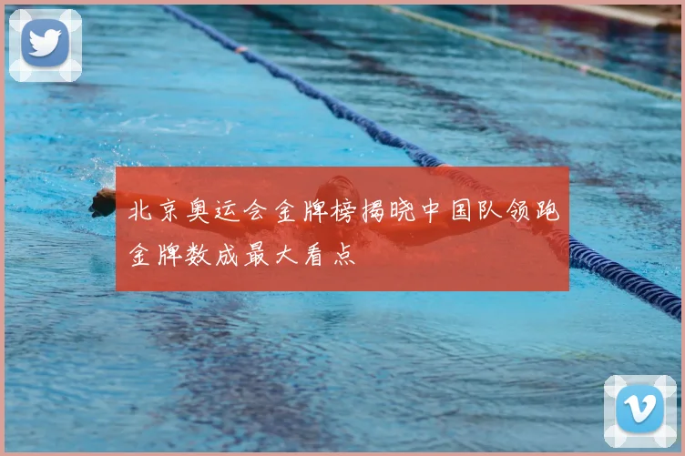 北京奥运会金牌榜揭晓中国队领跑金牌数成最大看点