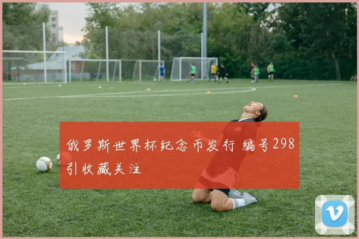俄罗斯世界杯纪念币发行 编号298引收藏关注
