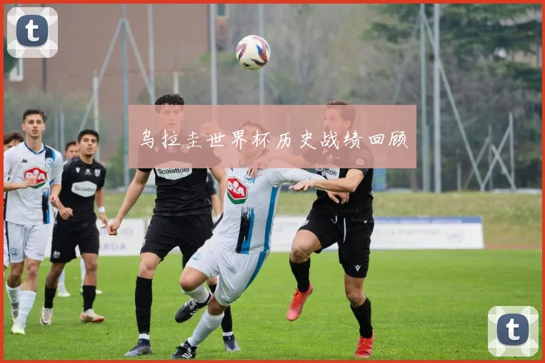 乌拉圭世界杯历史战绩回顾