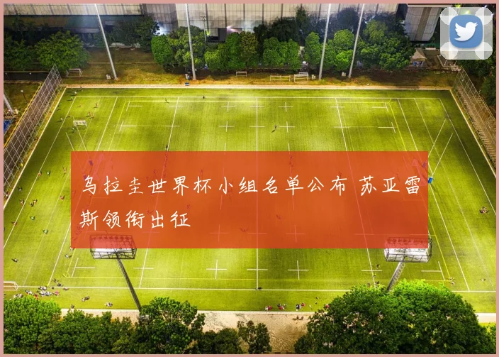 乌拉圭世界杯小组名单公布 苏亚雷斯领衔出征