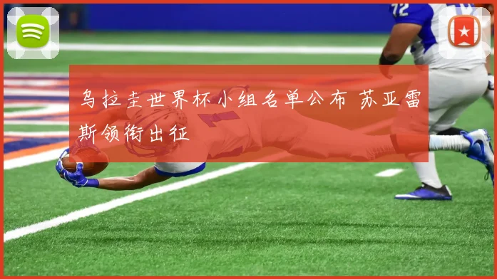乌拉圭世界杯小组名单公布 苏亚雷斯领衔出征